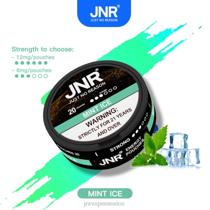 JNR vape shop - hielo de menta 0LTP103 bolsas de energía jnr