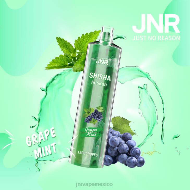 JNR vape - menta de uva 0LTP171 shisha jnr