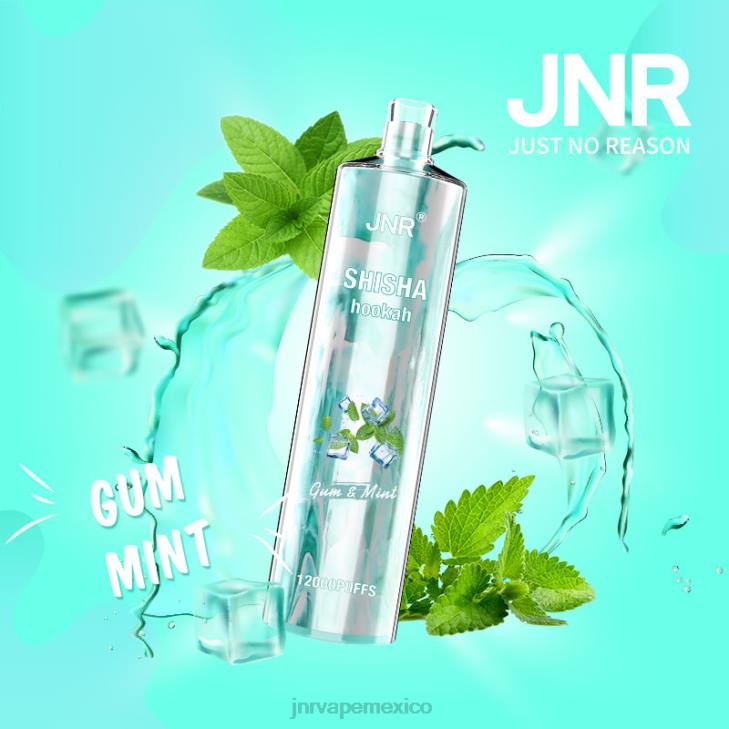 JNR vape nicotine content - chicle y menta 0LTP164 shisha jnr