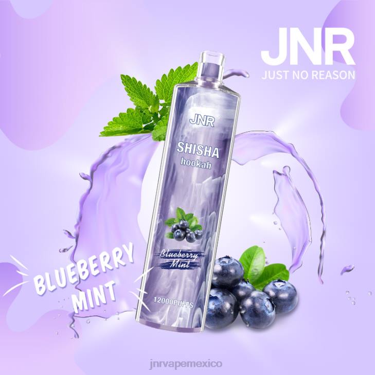 JNR vapes website - menta de arándanos 0LTP172 shisha jnr